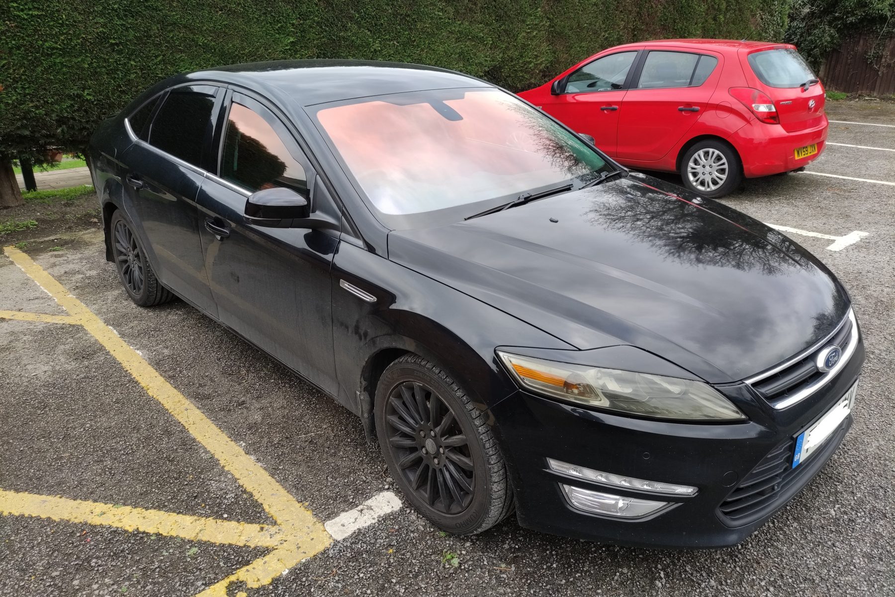 Chameleon Tints ER Tints