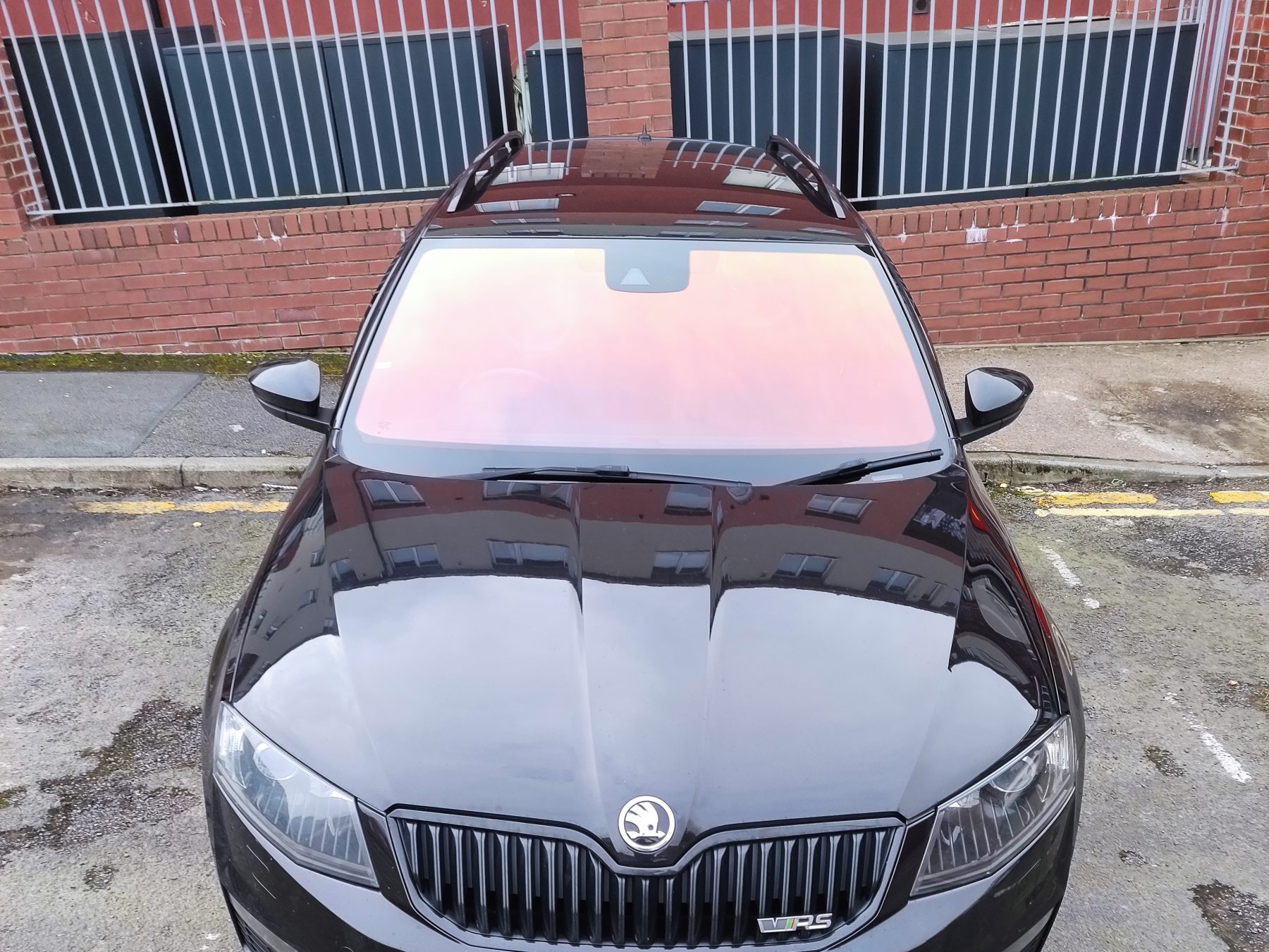 Chameleon Tinting Chameleon Tinting