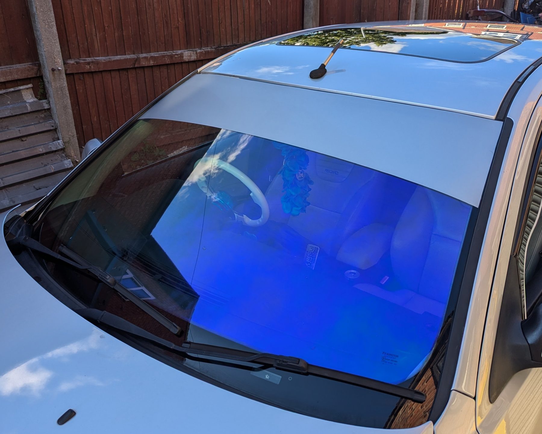 Chameleon Tinting Chameleon Tinting