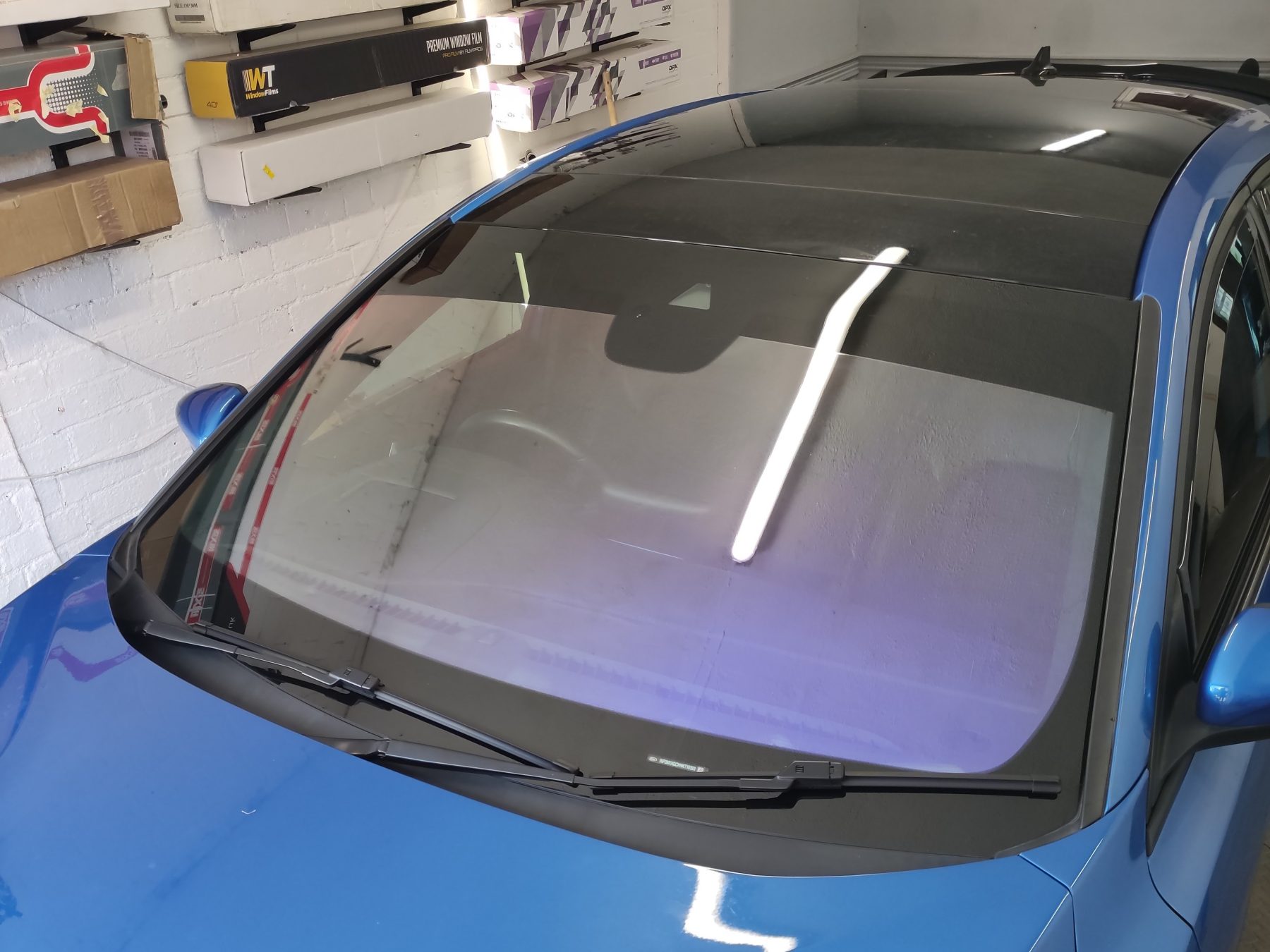 Chameleon Tinting Chameleon Tinting