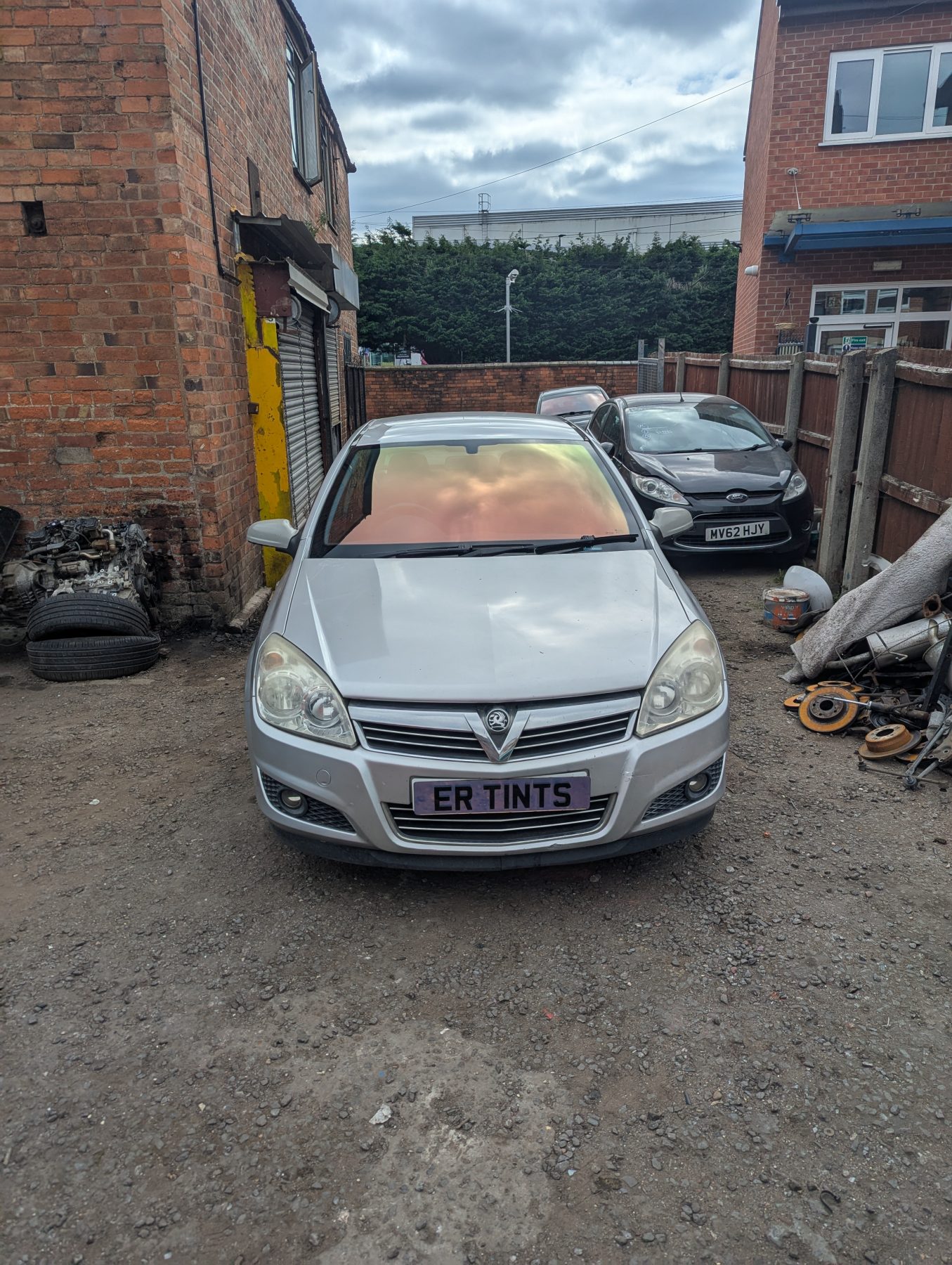 Chameleon Tinting Chameleon Tinting