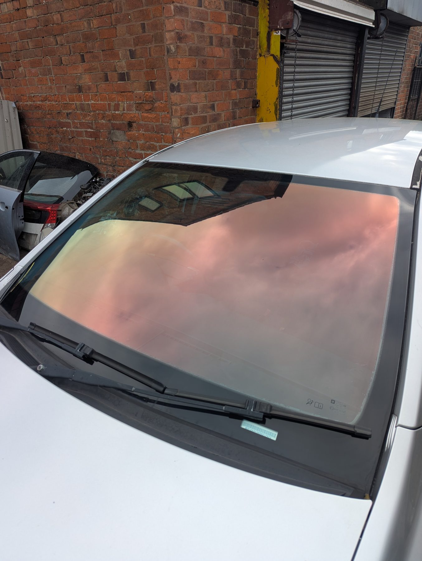 Chameleon Tinting Chameleon Tinting