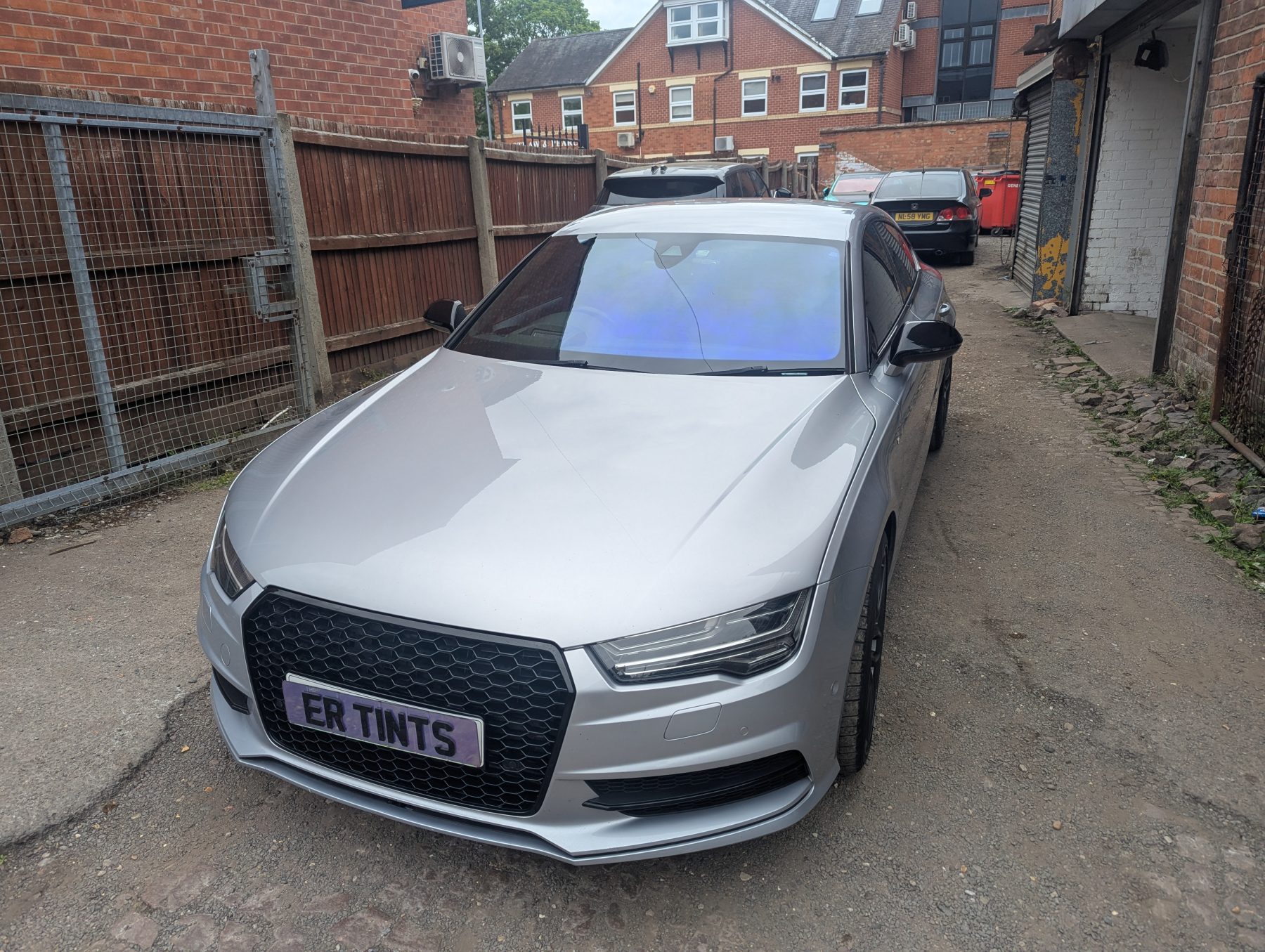 Chameleon Tinting Chameleon Tinting