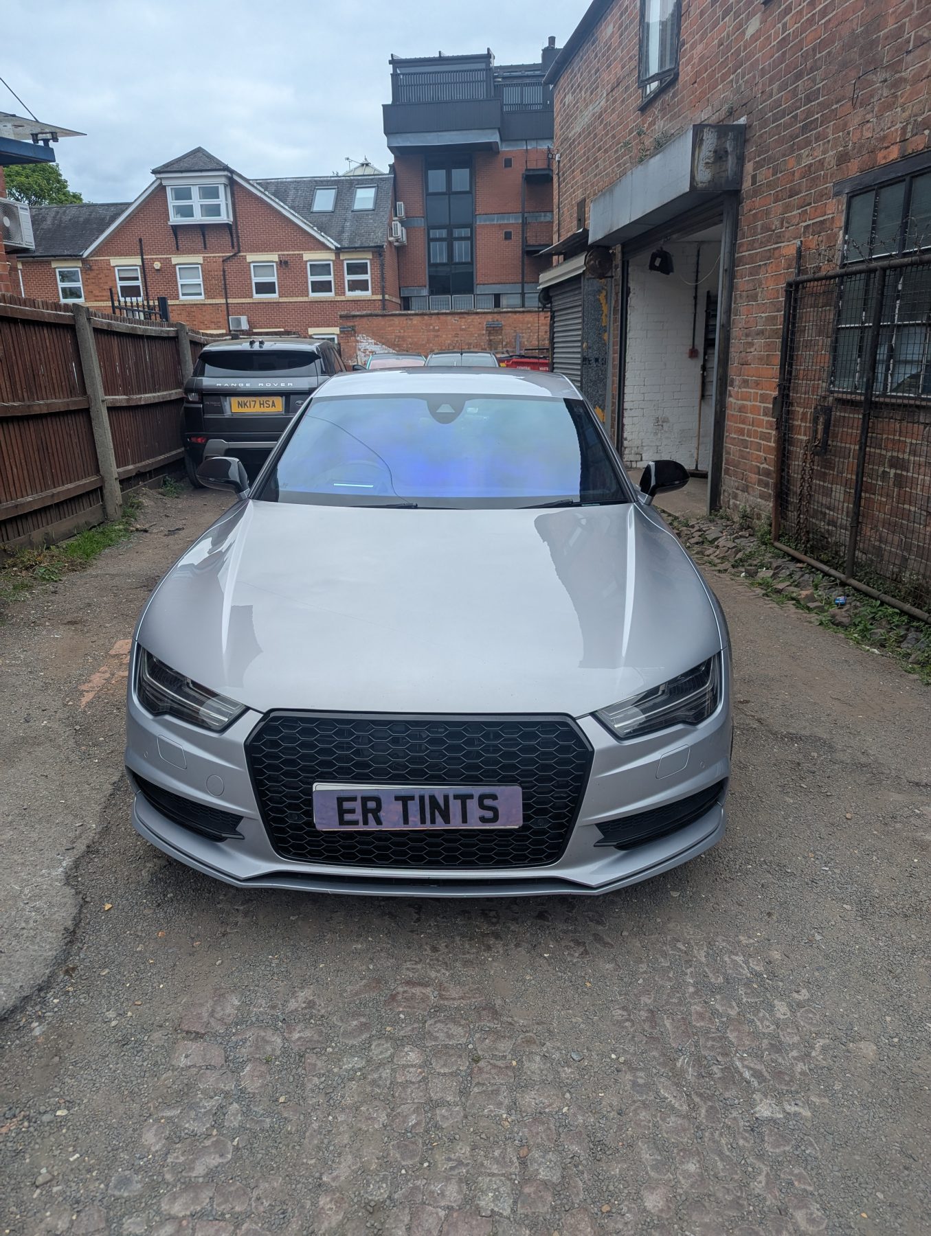 Chameleon Tinting Chameleon Tinting