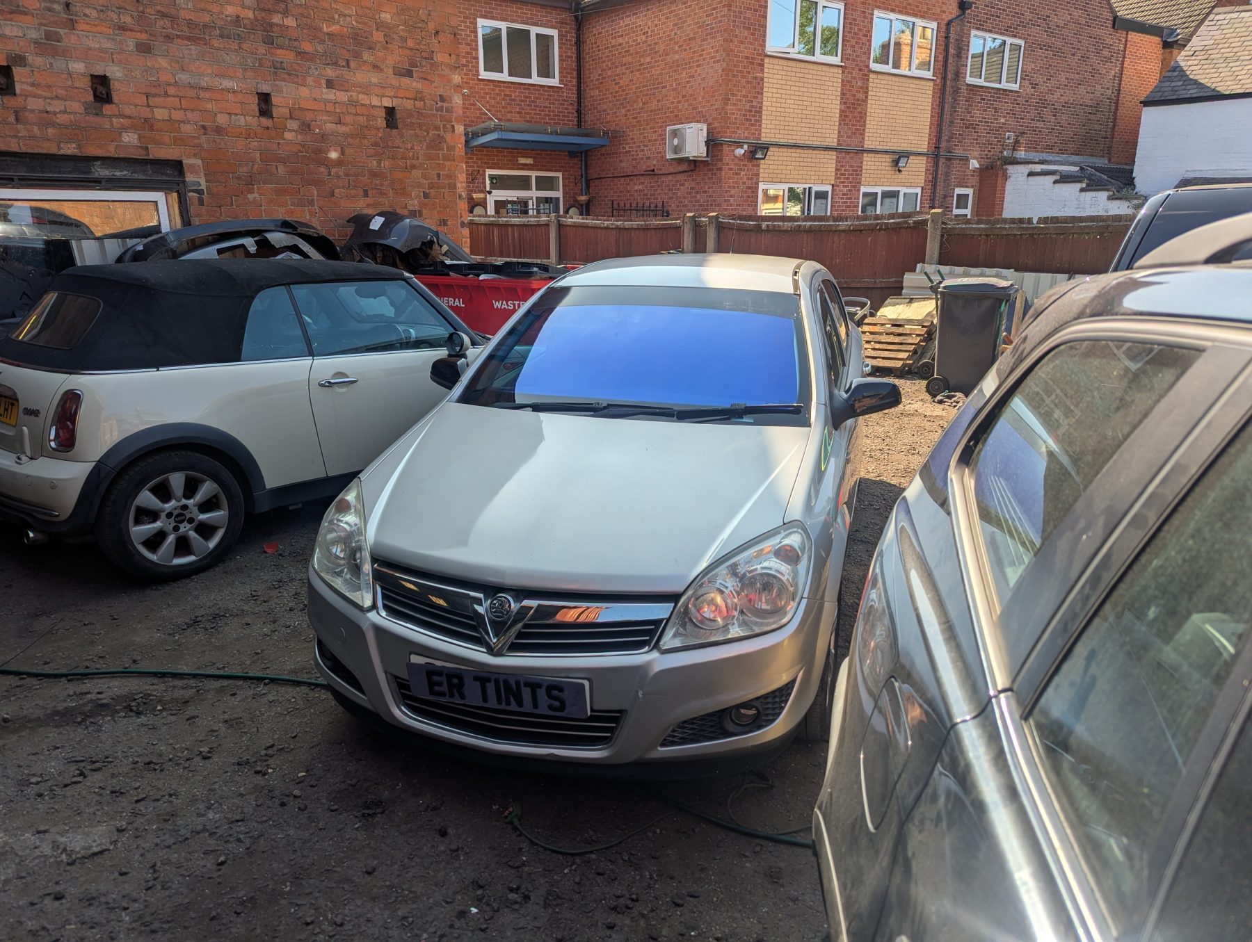 Chameleon Tinting Chameleon Tinting