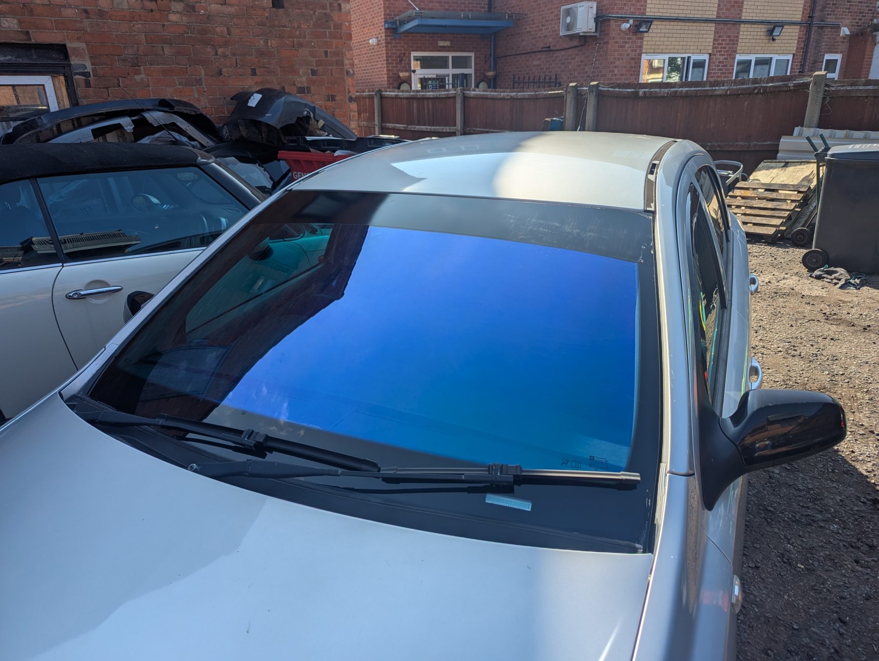 Chameleon Tinting Chameleon Tinting