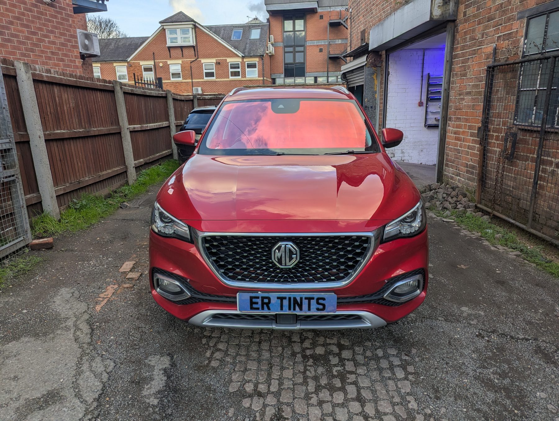 Chameleon Tinting Chameleon Tinting