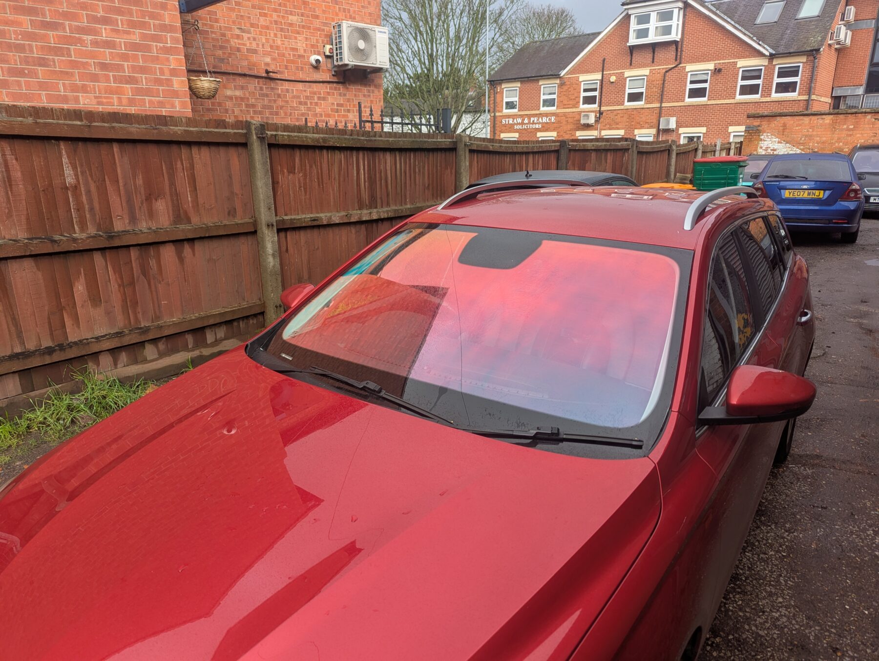 Chameleon Tinting Chameleon Tinting