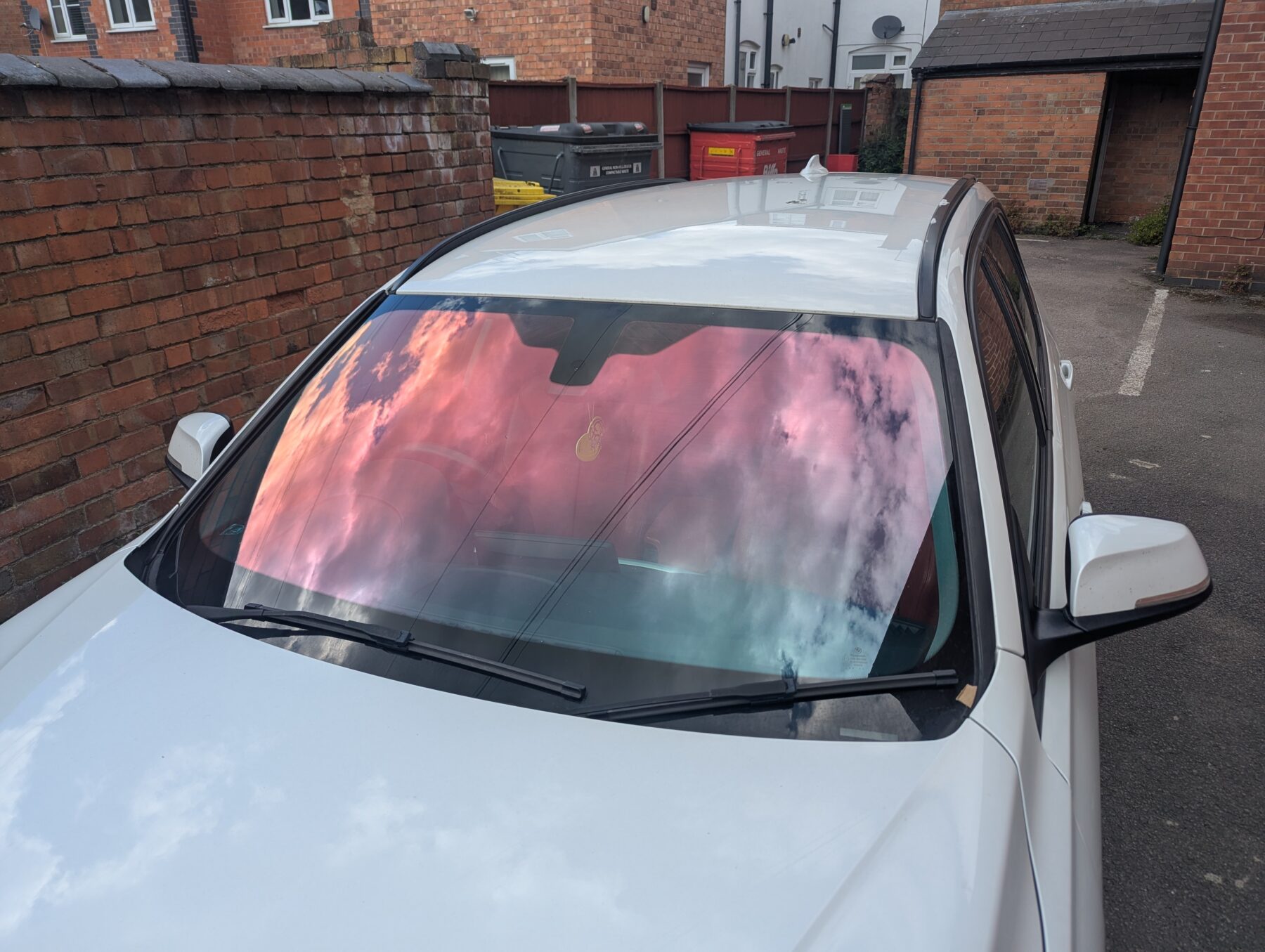 Chameleon Tinting Chameleon Tinting