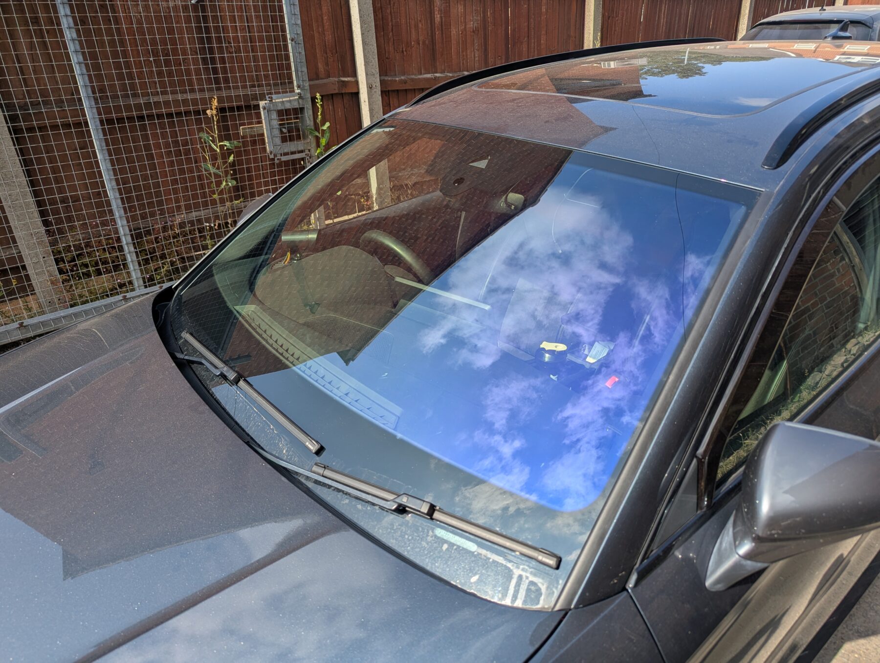 Chameleon Tinting Chameleon Tinting